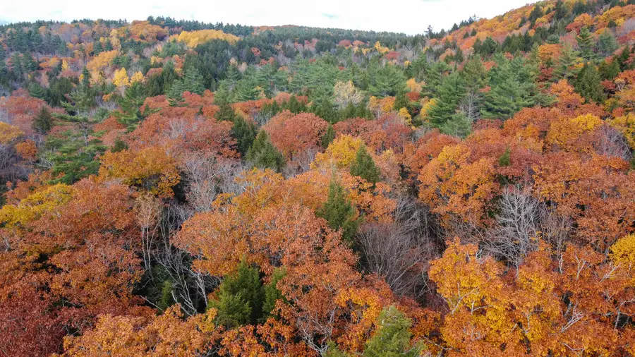 Lot 2 Darci Lane, Montville, ME 04941 - Image #2