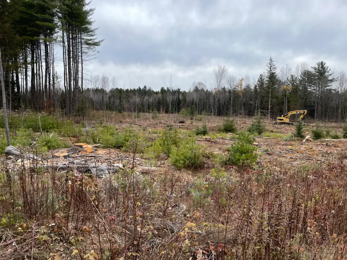 lot#000 North Road, Harmony, ME 04942 - Image #1