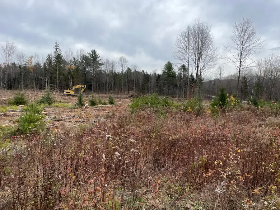 lot#000 North Road, Harmony, ME 04942 - Image #2