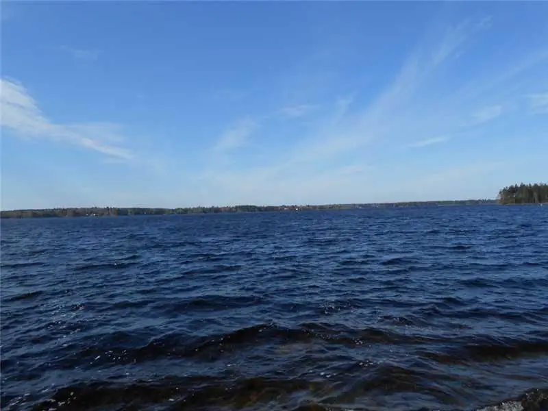 Lot 25 Lucas Lane, Whiting, ME 04691 - Image #2