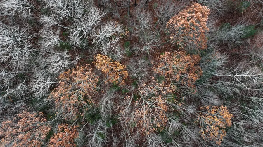 603 Shepard Hill Road, Union, ME 04862 - Image #2