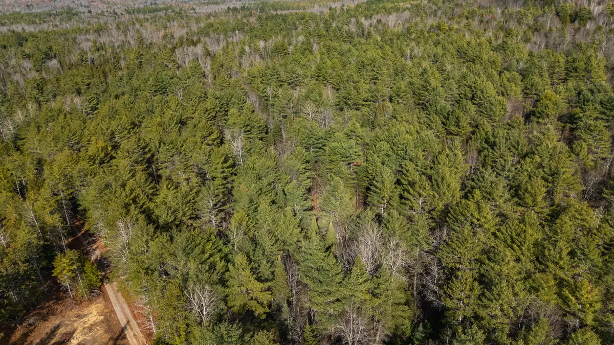 116 New Harrison Road, Oxford, ME 04270 - Image #1