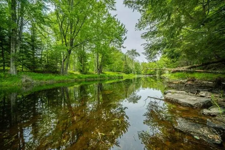 Lot 88-2 Appleton Ridge Road, Searsmont, ME 04973 - Image #3