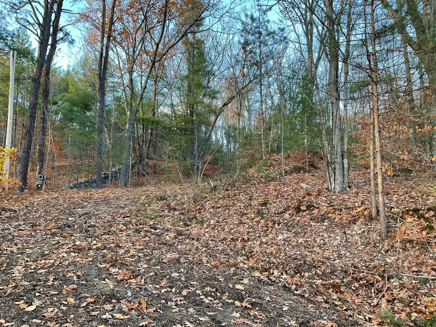 29C Shepherd River Road, Brownfield, ME 04010 - Image #3