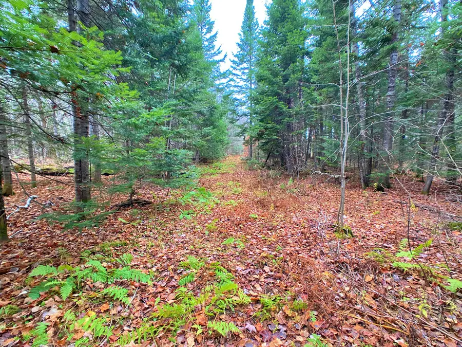 7 Garfield Road, Masardis, ME 04732 - Image #3