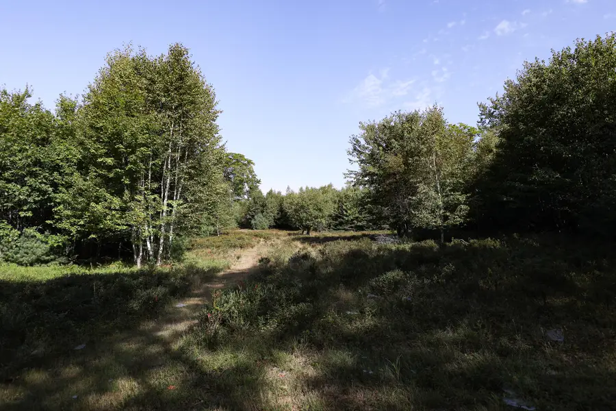 1021 Surry Road, Surry, ME 04684 - Image #2