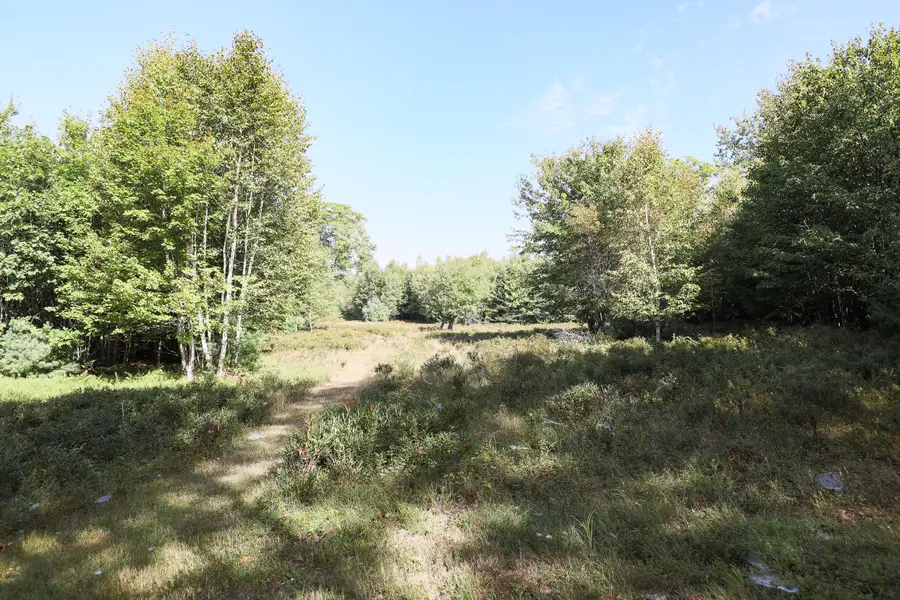 1021 Surry Road, Surry, ME 04684 - Image #3