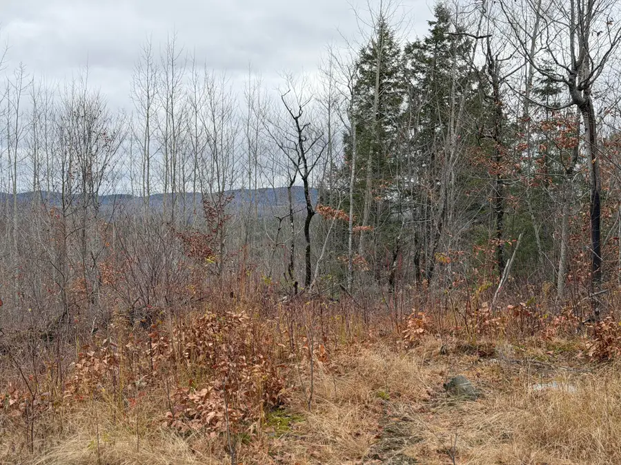 M5/L27 Pond Road, Abbot, ME 04406 - Image #2