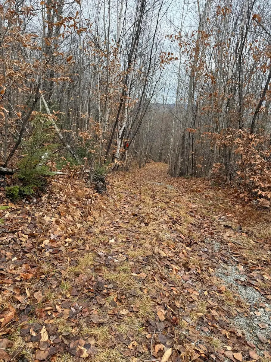 M5/L27 Pond Road, Abbot, ME 04406 - Image #3