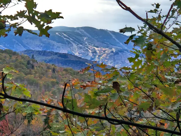 15 Off Howard Pond/small Road Road, Hanover, ME 04237