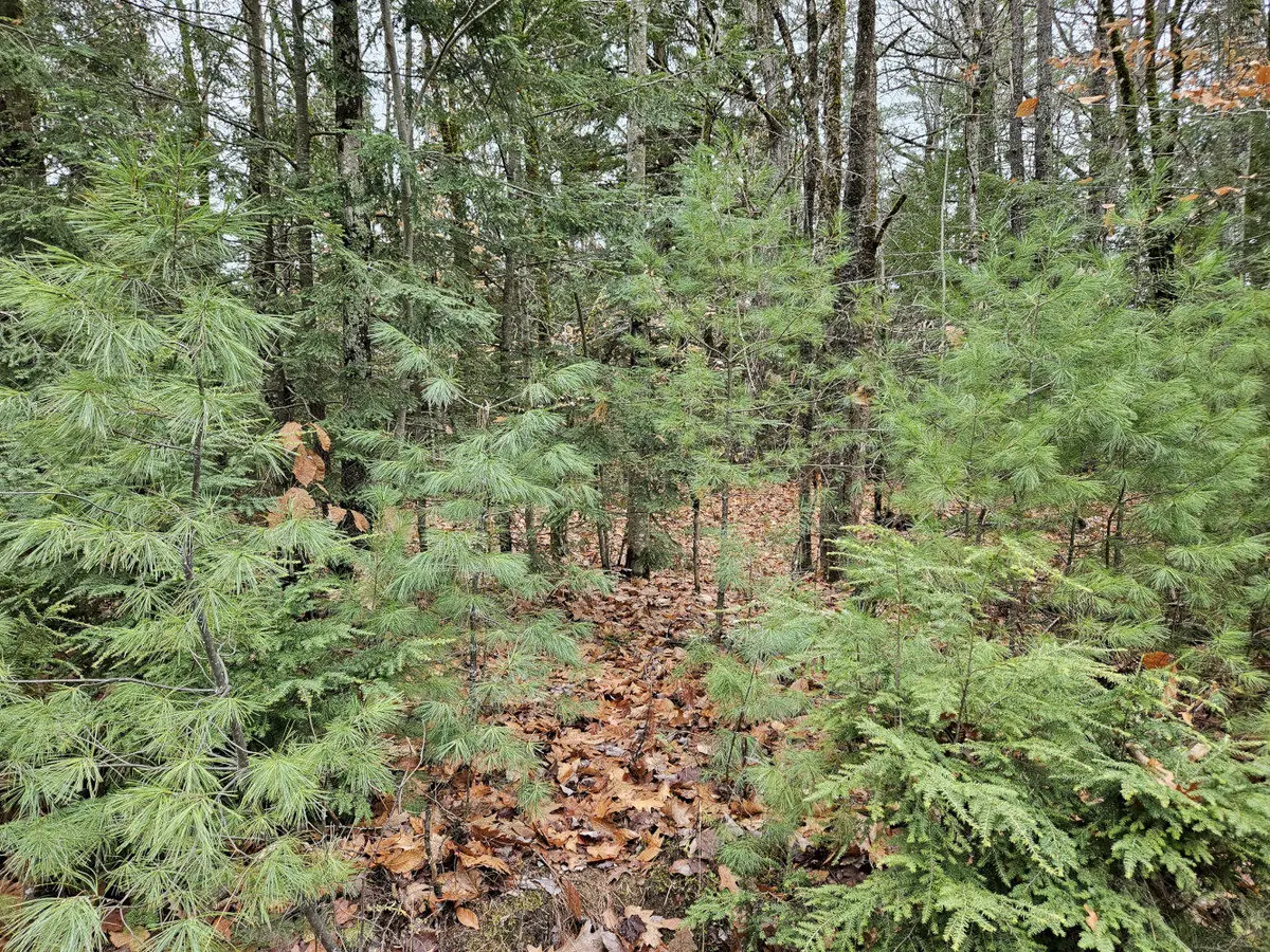 M5 L38 Winding Hill Road, Norridgewock, ME 04957 - Image #1