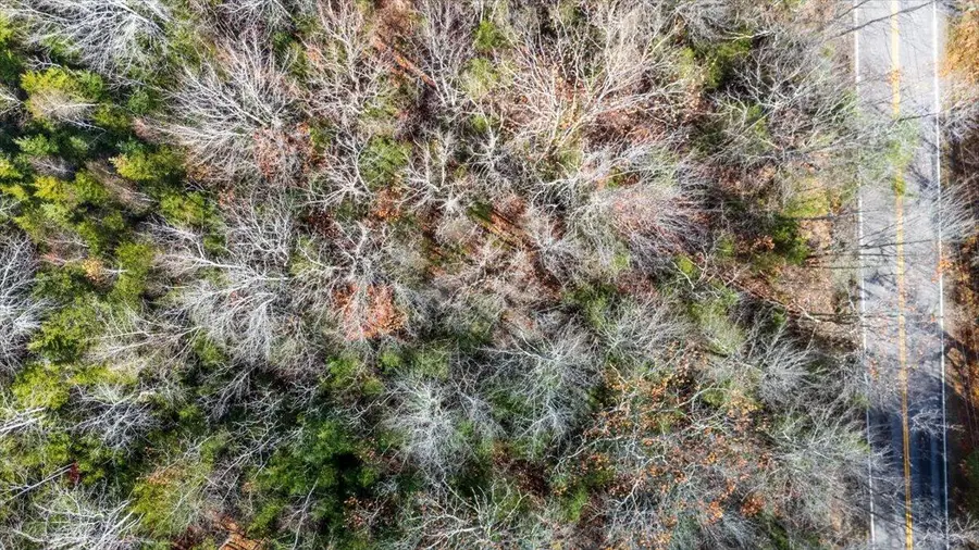 Lot 24 Cushing Road, Cushing, ME 04563 - Image #2