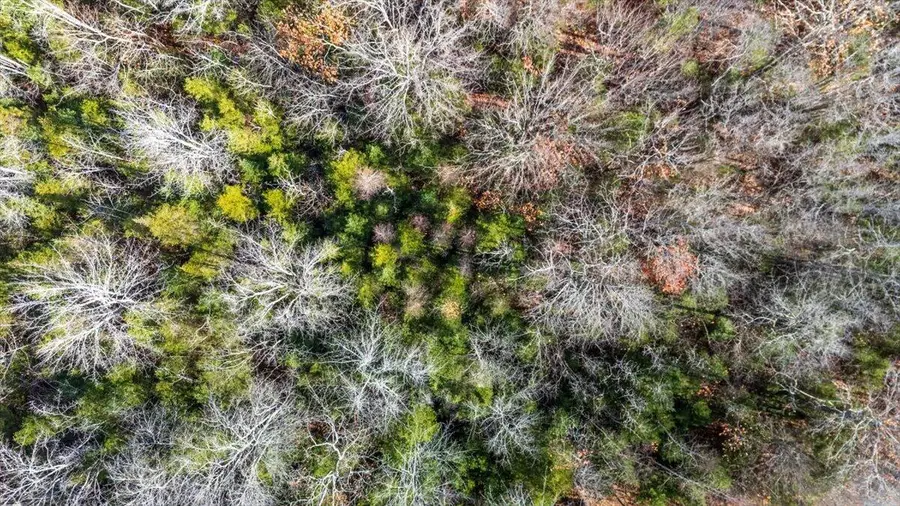 Lot 24 Cushing Road, Cushing, ME 04563 - Image #3