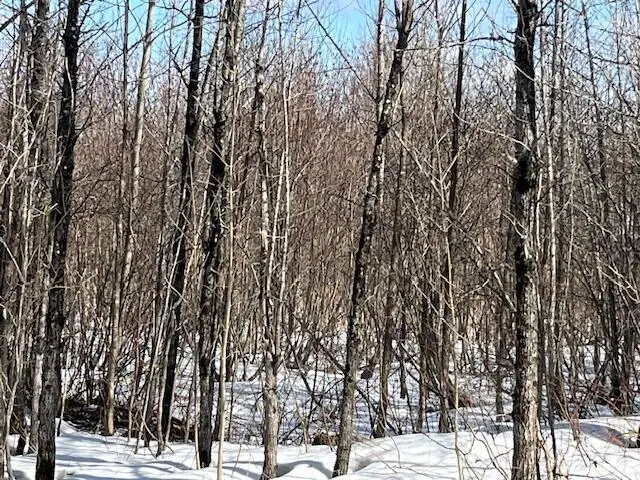 00 Daigle Cross Road, Saint Agatha, ME 04772 - Image #2