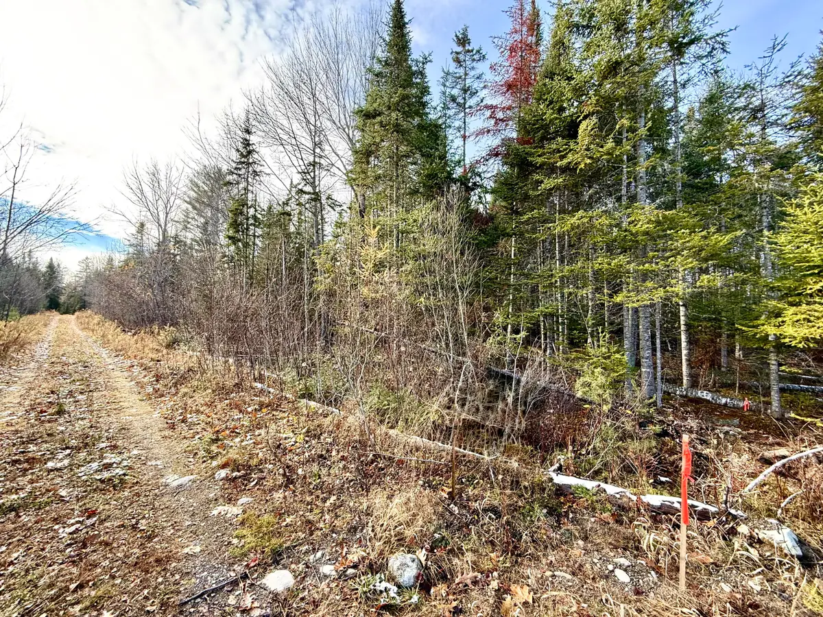 14-2 Hemlock Drive, Hudson, ME 04449 - Image #1