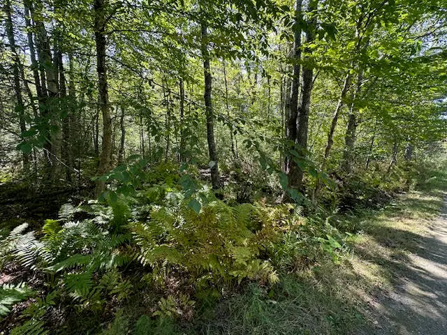 M1L431E-4 Sally Mack Road, Frankfort, ME 04438 - Image #2