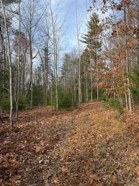M 8 Lot 5B Maranacook Road, Winthrop, ME 04364 - Image #2