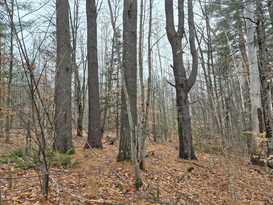 MU23 L19B Holley Road, Farmington, ME 04938 - Image #2