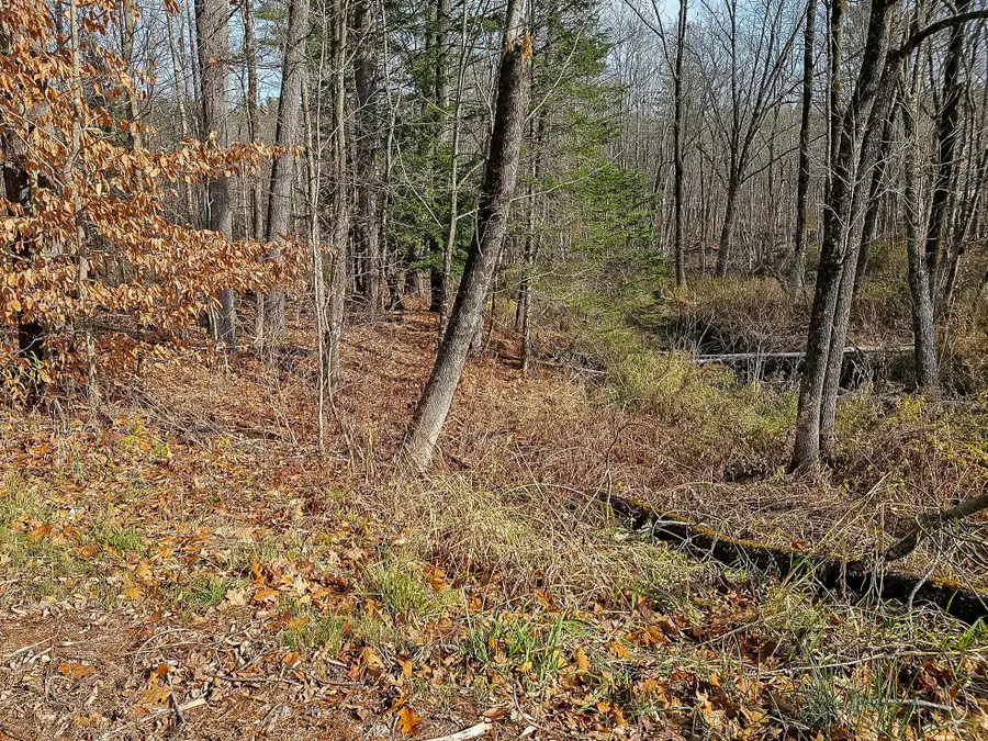 R03-007-A Pottle Hill Road, Minot, ME 04258 - Image #2