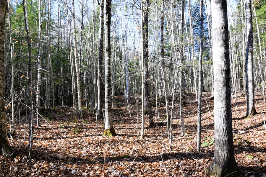 M7 L19-5 Pine Bluff Road, Embden, ME 04958 - Image #3