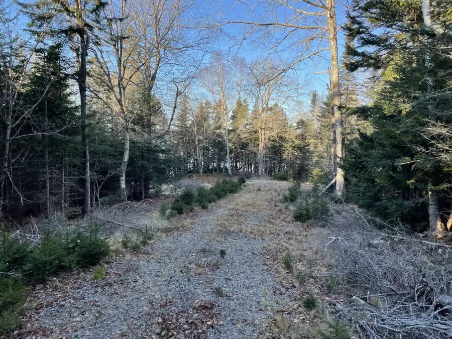 Lot 25-3 Flat Bay Drive, Harrington, ME 04643 - Image #2