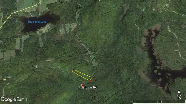 221 Brown Road, Oakfield, ME 04763