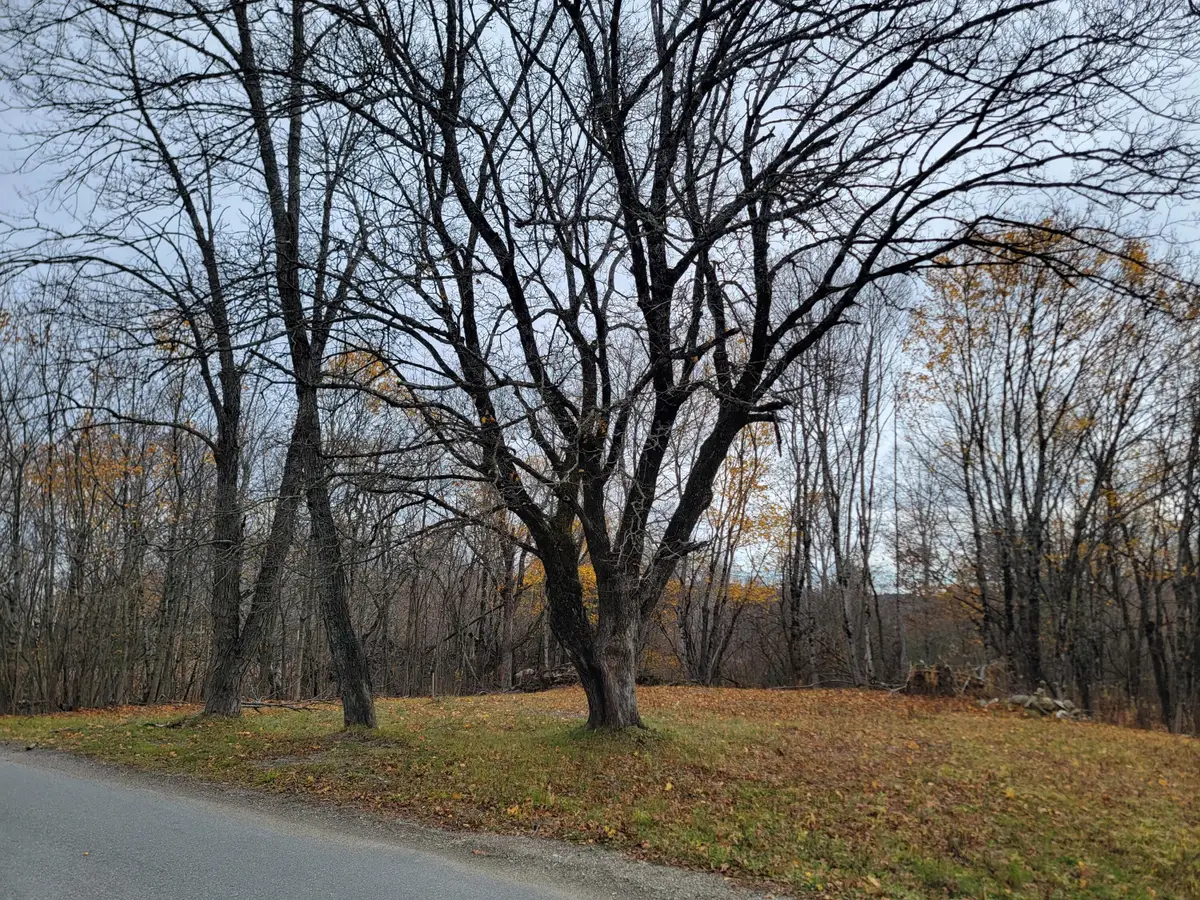 Address Withheld By Seller, Baileyville, ME 04694 - Image #1