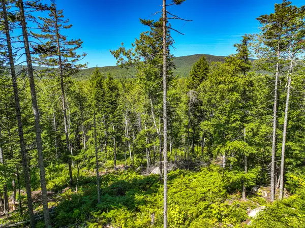 Lot 39 Sawyer Notch Road, Andover, ME 04216
