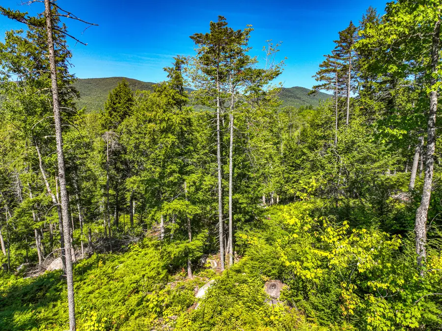 Lot 39 Sawyer Notch Road, Andover, ME 04216 - #3
