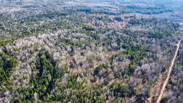 Map 04 Lots #2-15,2-16 Yellow Birch Road, Whiting, ME 04691