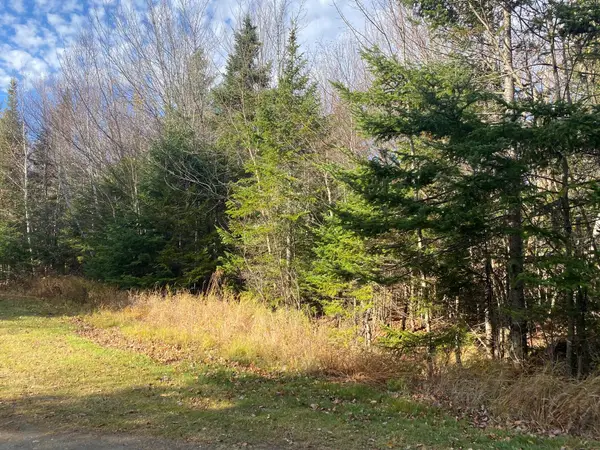 Lot 16 Bear Track Lane, Tomhegan Twp, ME 04478