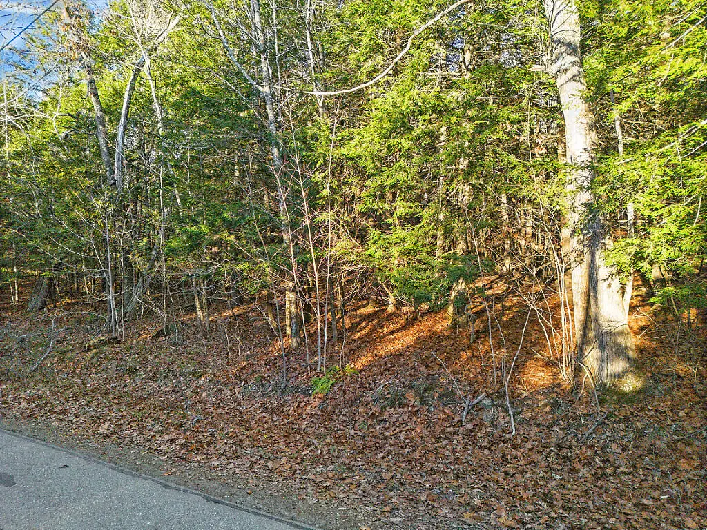 Lot 3-1 Bryant Road, Unity, ME 04988 - Image #1