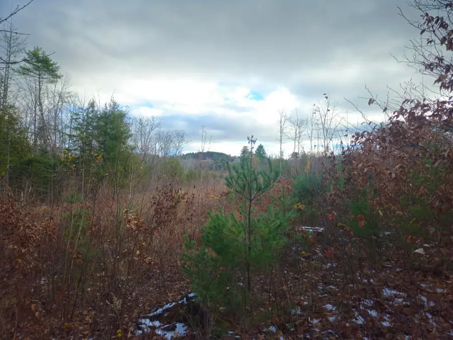 L52 Bridgton Road, Harrison, ME 04009 - Image #2