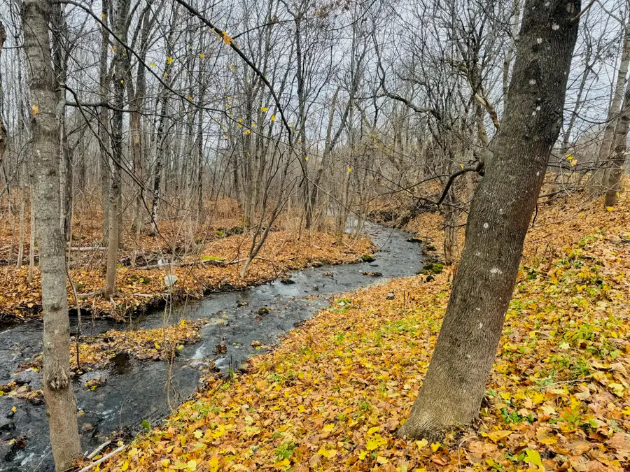 31 Gardner Street, Patten, ME 04765 - Image #3