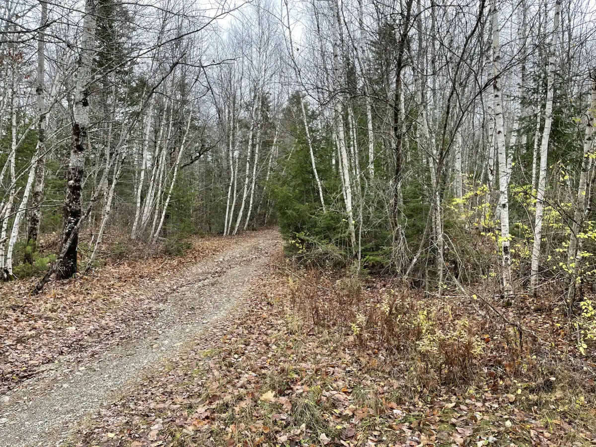 194 E Gulch Road, Thorndike, ME 04986 - #1