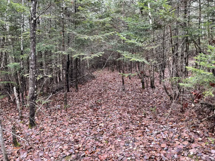 194 E Gulch Road, Thorndike, ME 04986 - #3