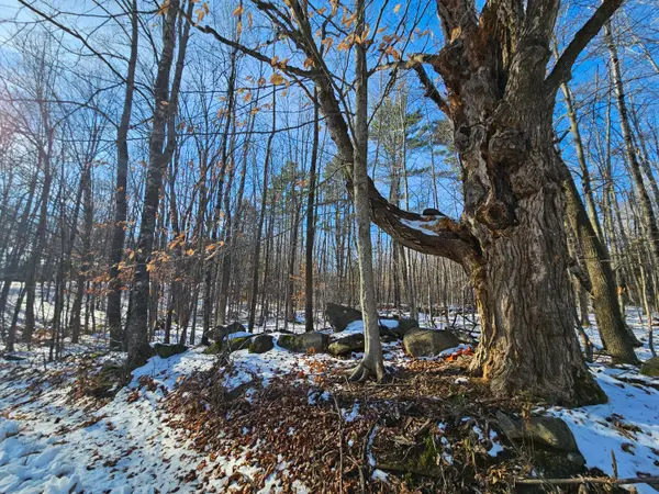 R09-L13-3 Ski Slope Road, Farmington, ME 04938