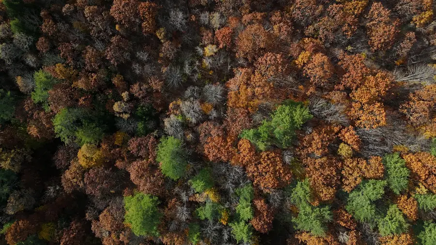 M.R6 Lot18 Lisbon Street, Lisbon, ME 04250 - Image #2