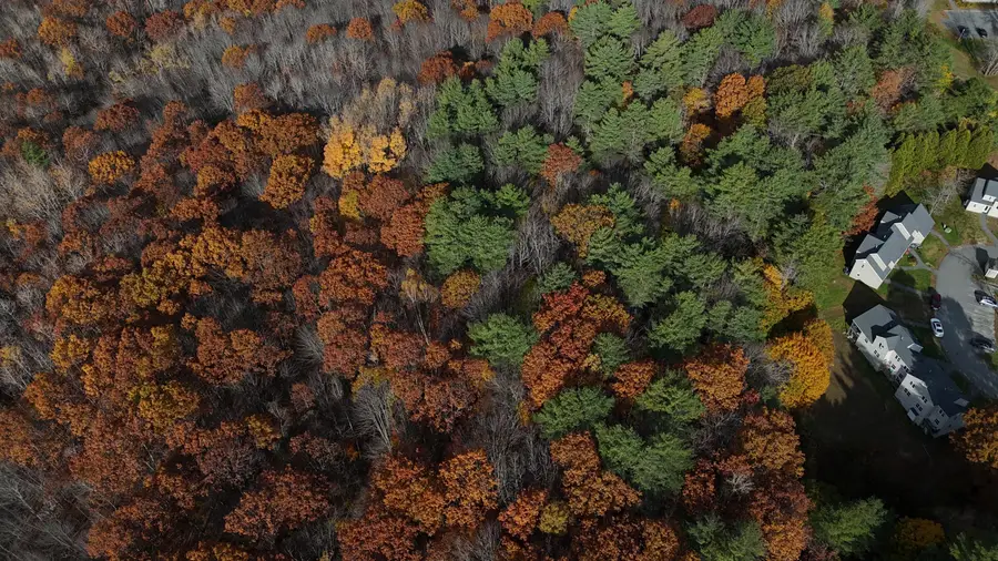 M.R6 Lot18 Lisbon Street, Lisbon, ME 04250 - Image #3