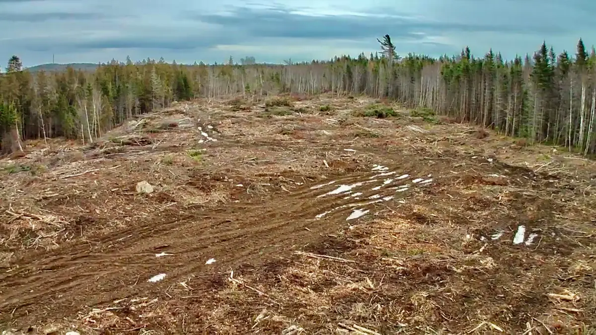 L1 Lively Brook Acres, Whiting, ME 04691 - Image #1