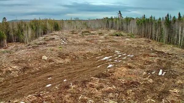 L1 Lively Brook Acres, Whiting, ME 04691