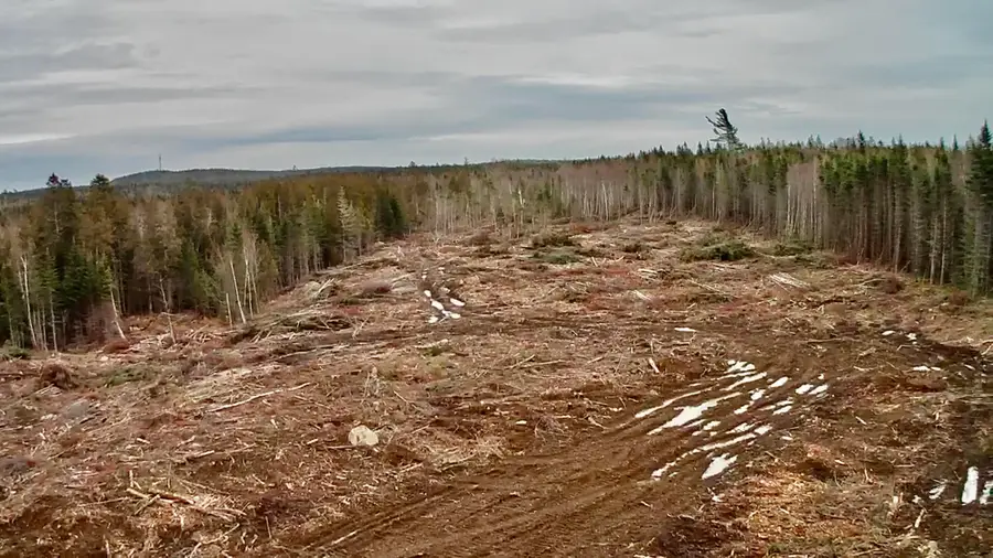 L1 Lively Brook Acres, Whiting, ME 04691 - Image #3