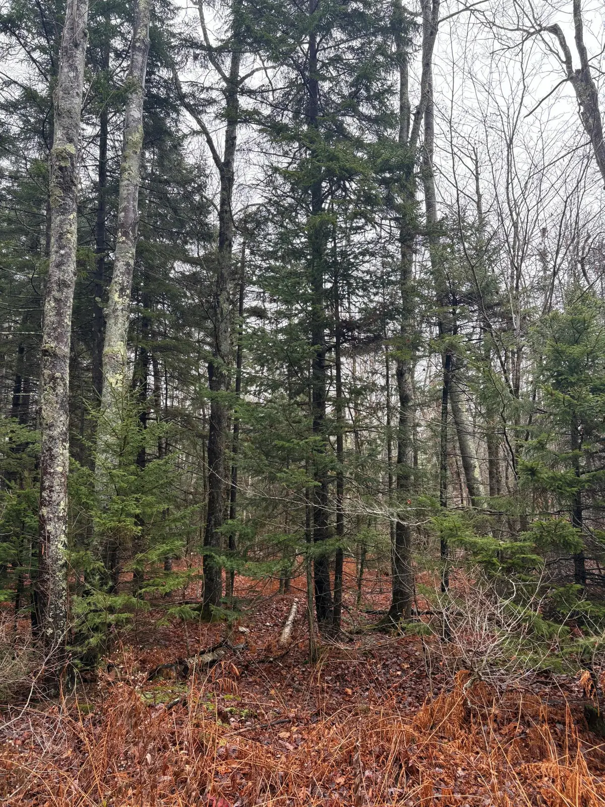 Lot 129 Harpswell Neck Road, Harpswell, ME 04079 - Image #1