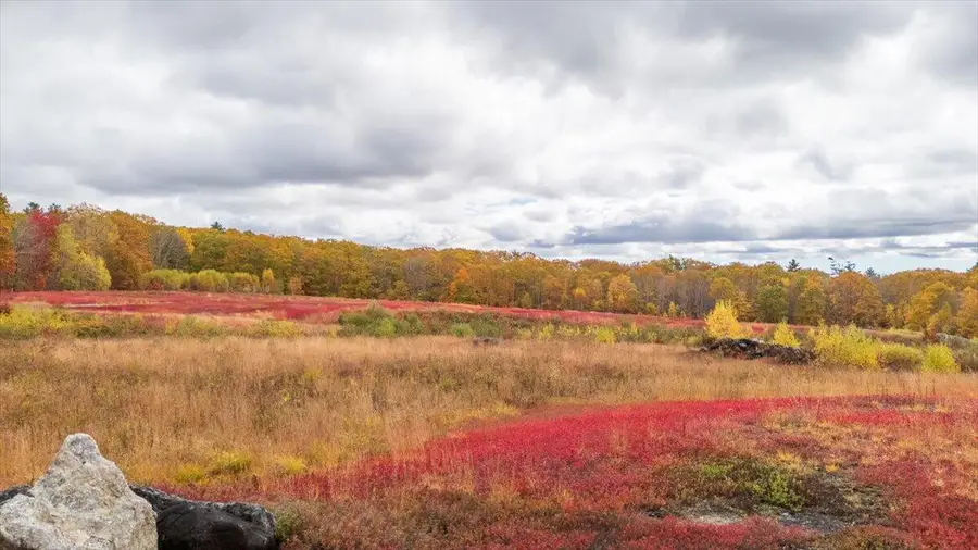 Map 4 Lot 3 Clarry Hill Lane, Union, ME 04862 - Image #2