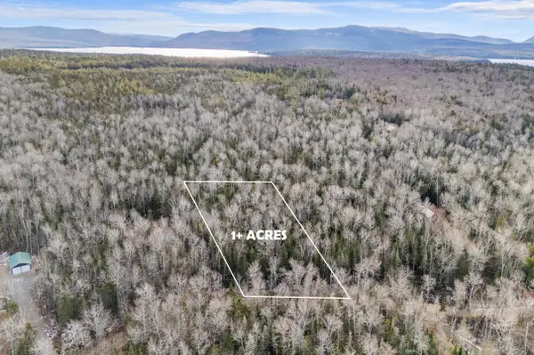 lot 30 Stephens Road, Rangeley Plt, ME 04970