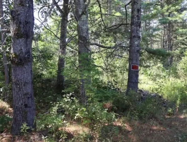 0 Beechwood Street, Warren, ME 04864