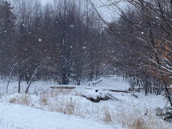 Lot 225 W Birch Lane, Beaver Cove, ME 04441