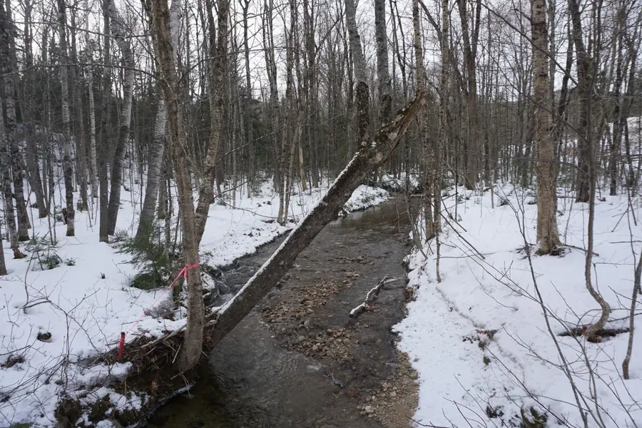 M13L18A-1 Redding Road, Woodstock, ME 04219 - Image #3