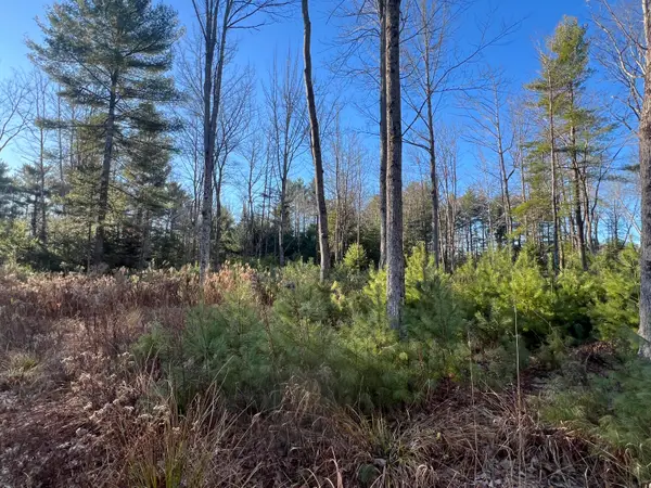 Lot # 7 Cranberry Way, Bowdoinham, ME 04008