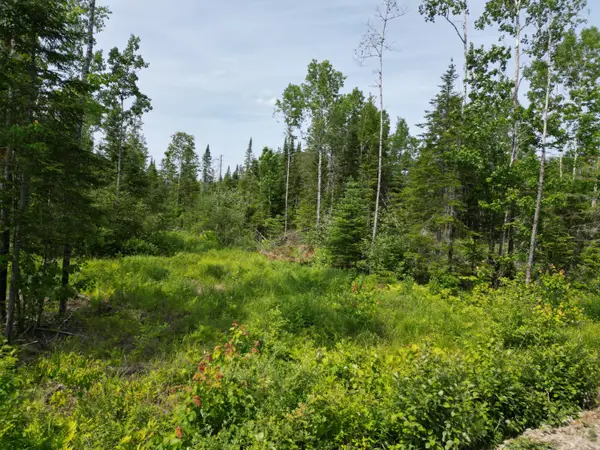 Lot 13 Chickadee Lane, Lowell, ME 04493